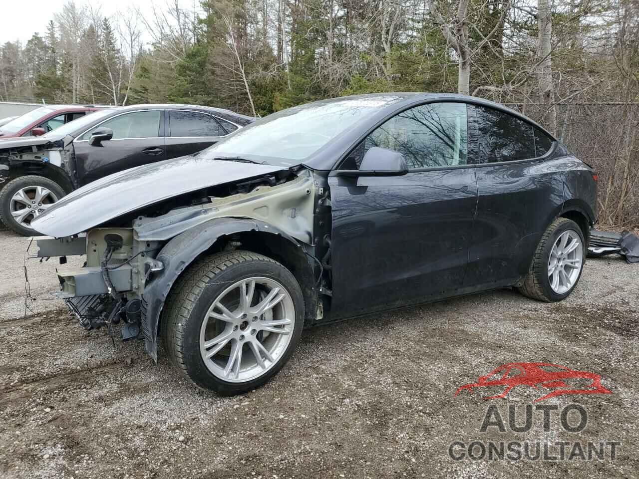 TESLA MODEL Y 2024 - 7SAYGAEE6RF070354