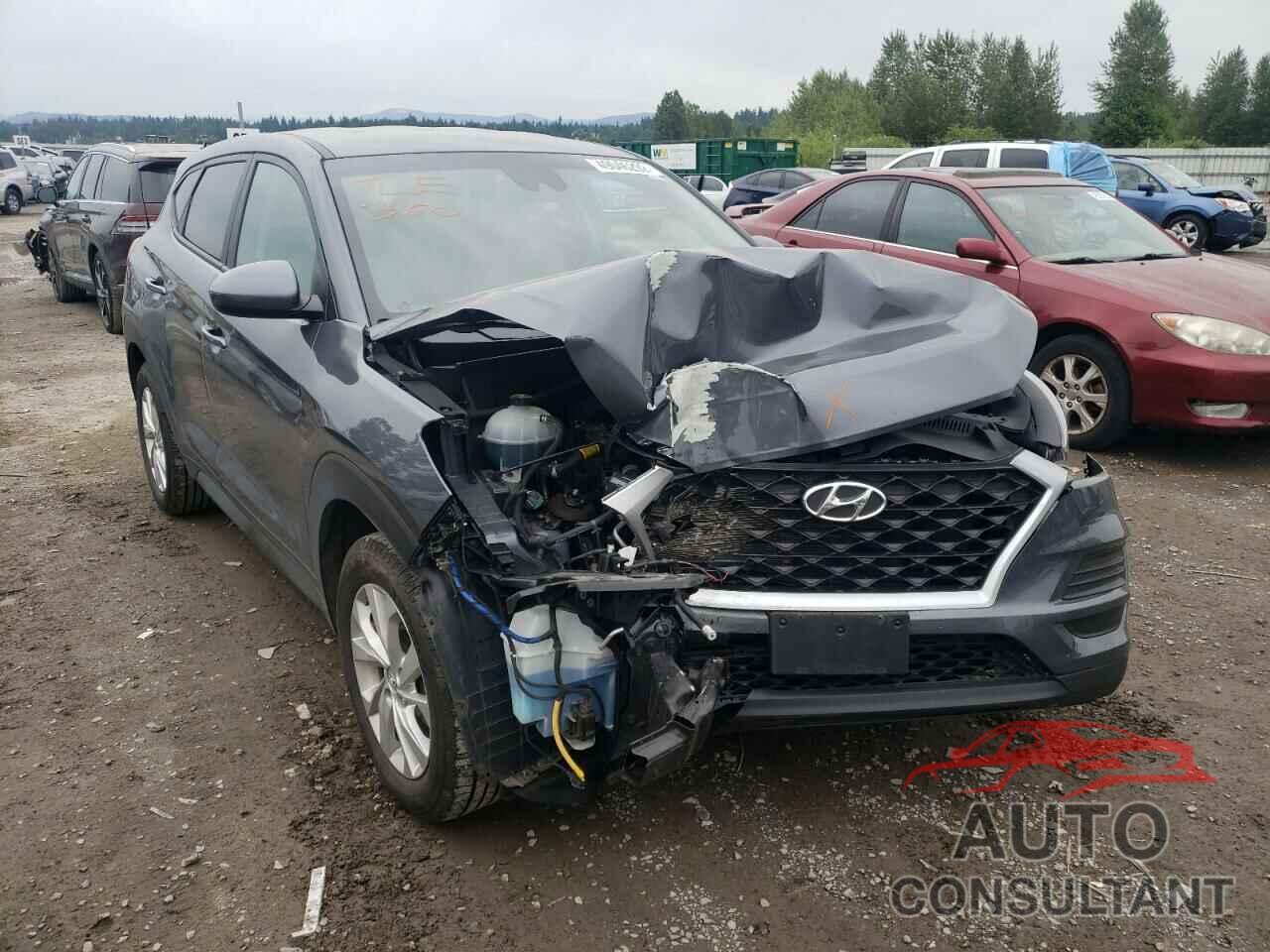 HYUNDAI TUCSON 2019 - KM8J2CA47KU882339