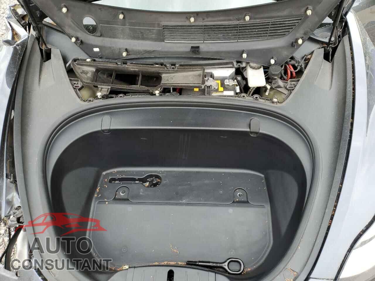 TESLA MODEL 3 2019 - 5YJ3E1EA5KF308341