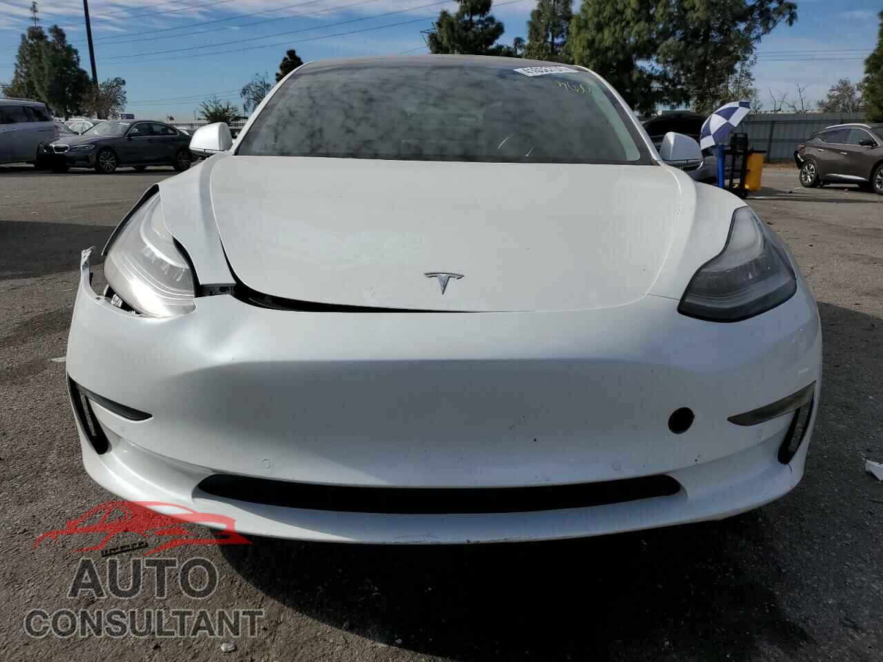TESLA MODEL 3 2019 - 5YJ3E1EA3KF300030
