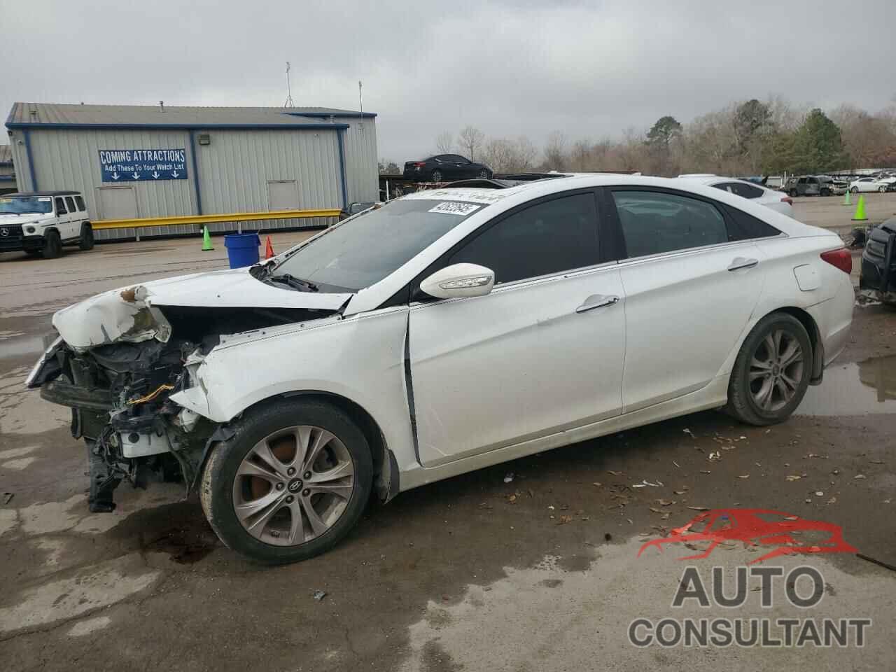 HYUNDAI SONATA 2013 - 5NPEC4AC6DH668276