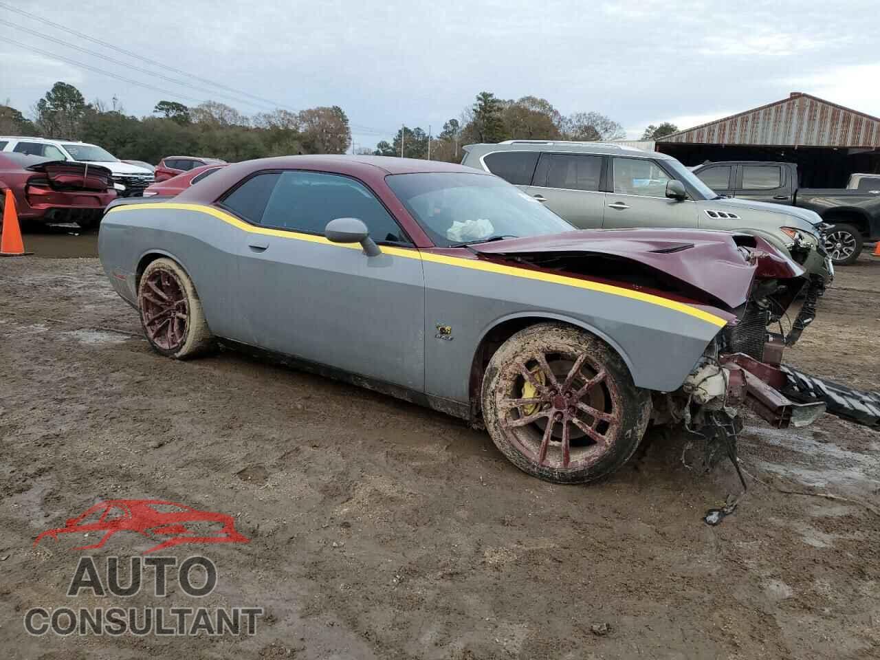 DODGE CHALLENGER 2019 - 2C3CDZFJ3KH581485