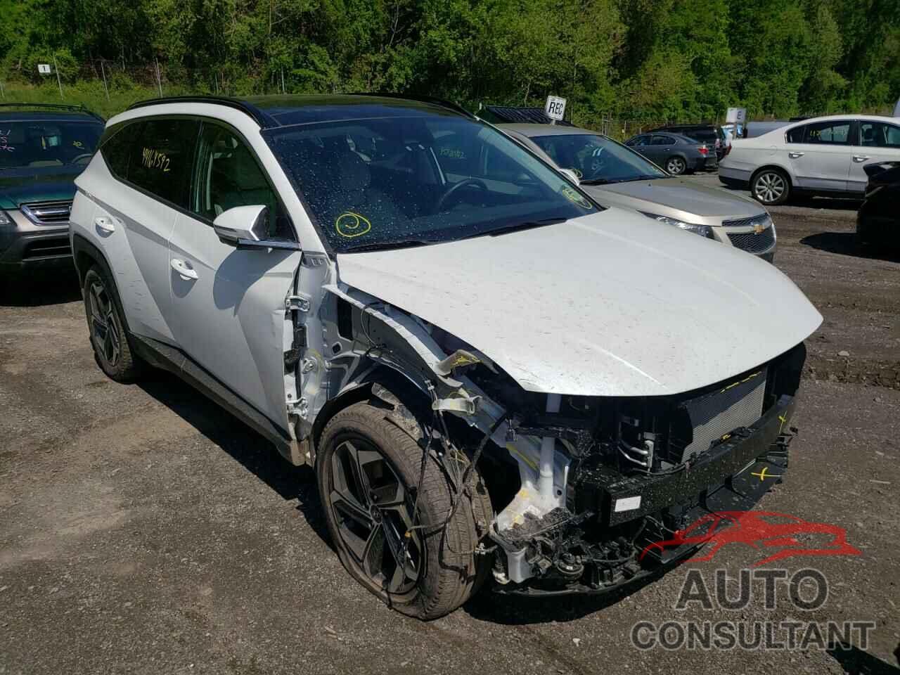 HYUNDAI TUCSON 2022 - 5NMJECAE1NH039446