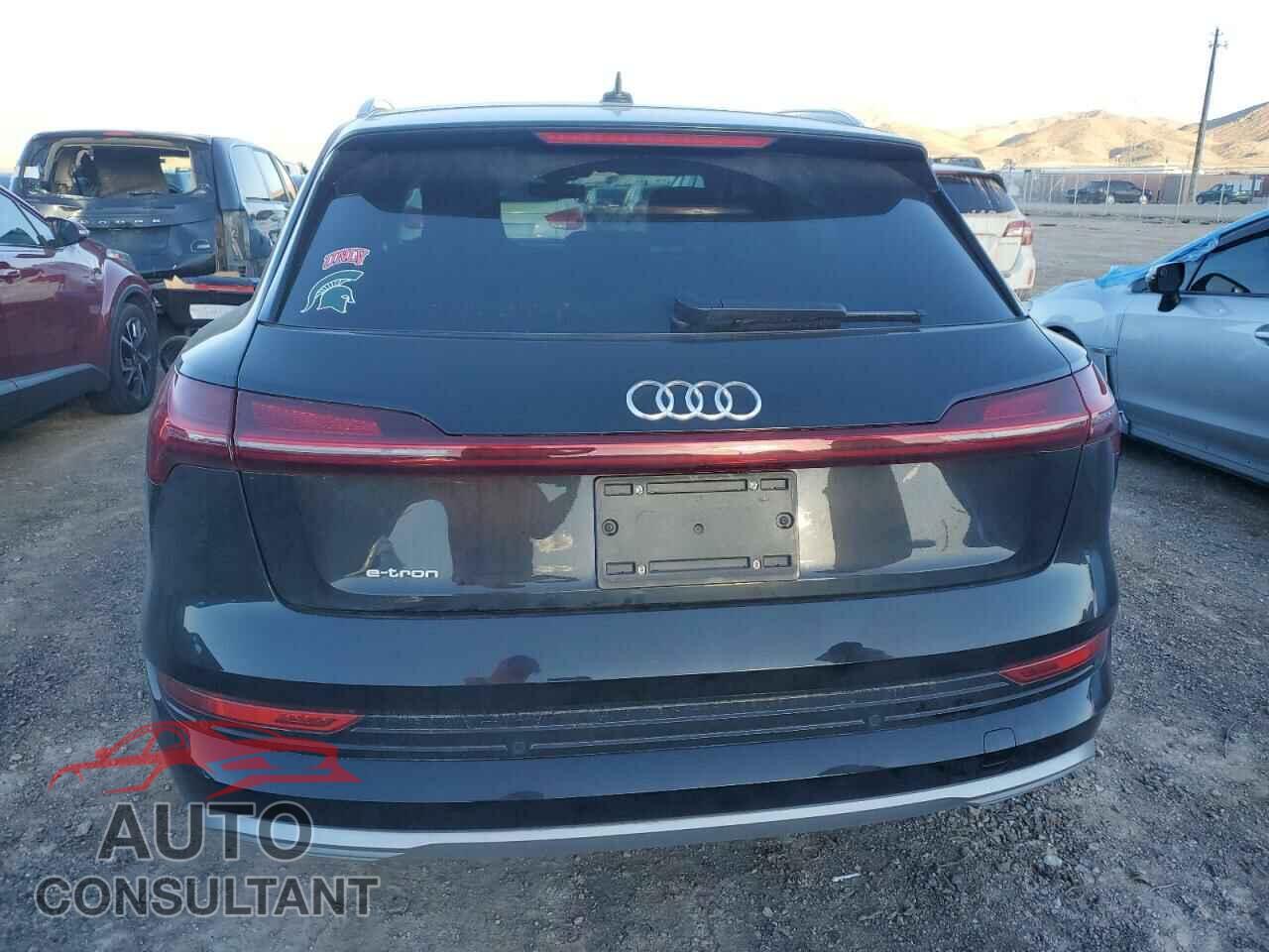 AUDI E-TRON 2019 - WA1LABGE3KB022227