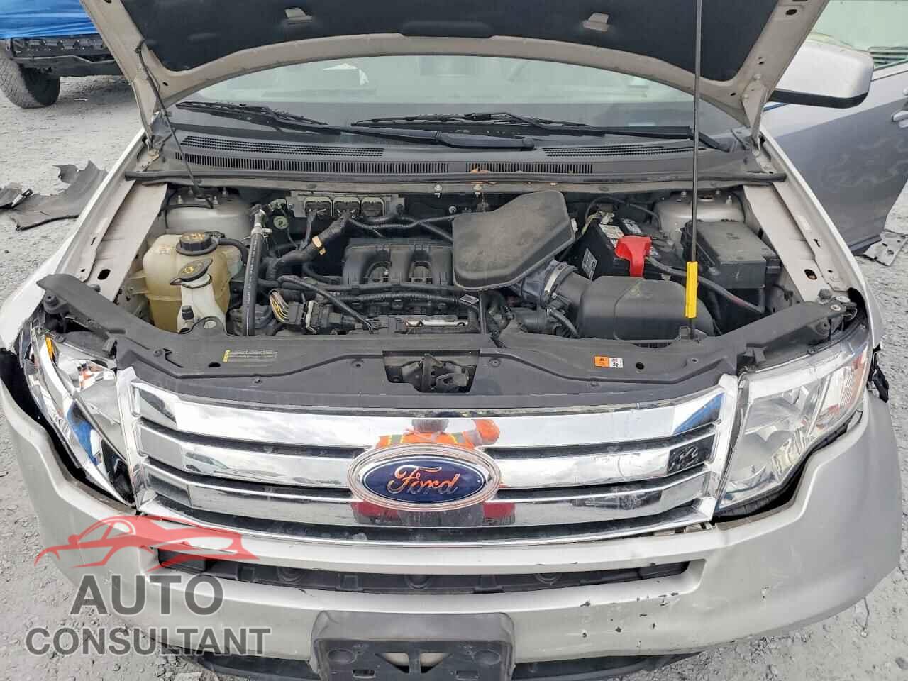 FORD EDGE 2009 - 2FMDK39CX9BB06196