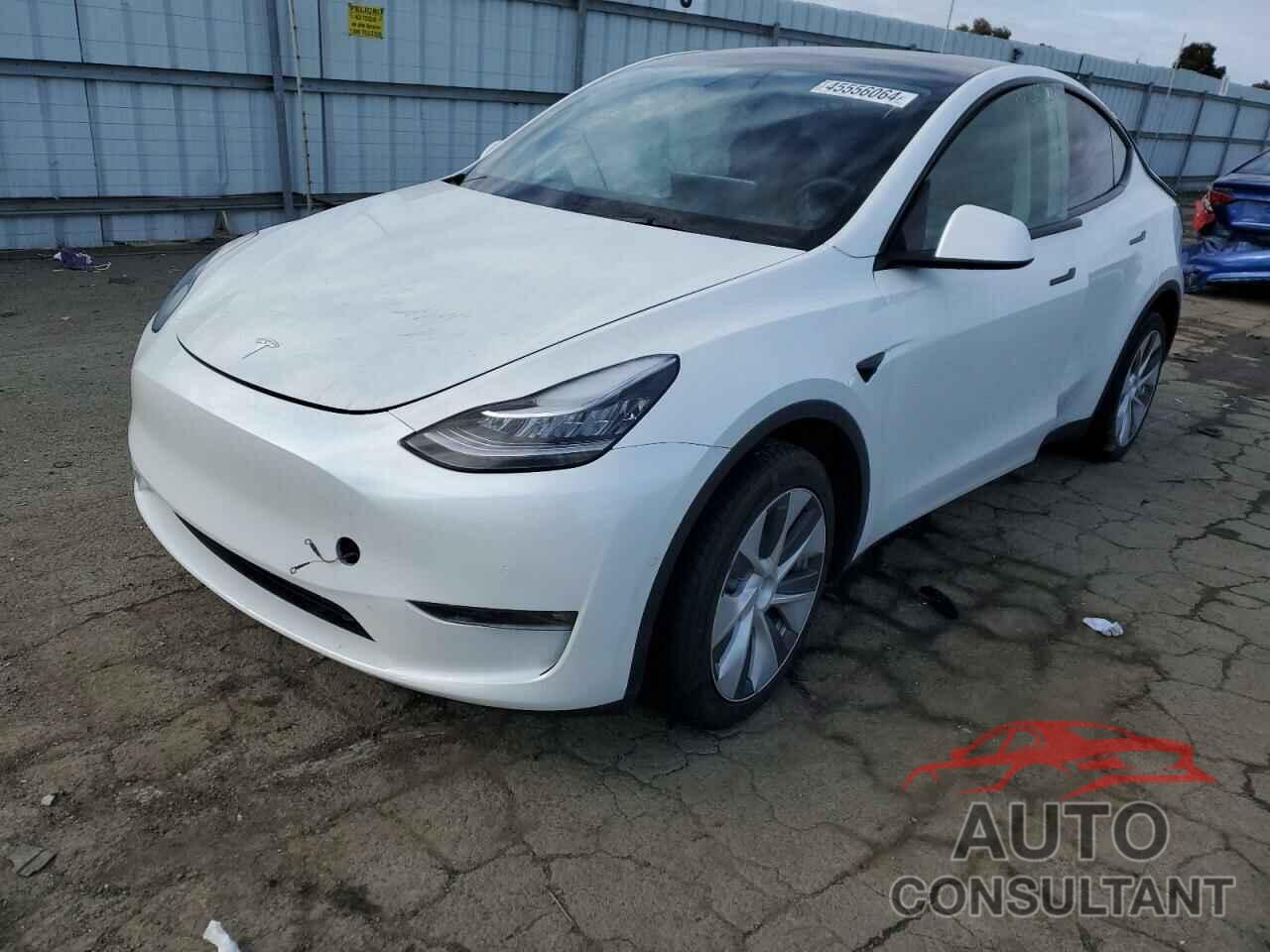 TESLA MODEL Y 2021 - 5YJYGDEE0MF277118