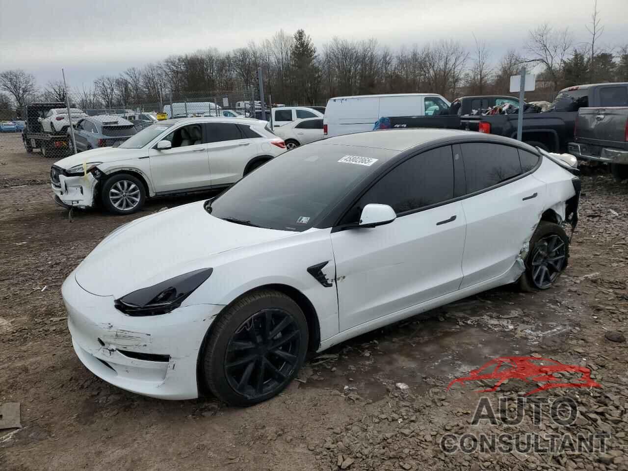 TESLA MODEL 3 2022 - 5YJ3E1EB4NF164276