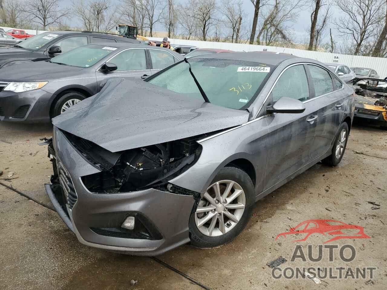 HYUNDAI SONATA 2019 - 5NPE24AF9KH755664