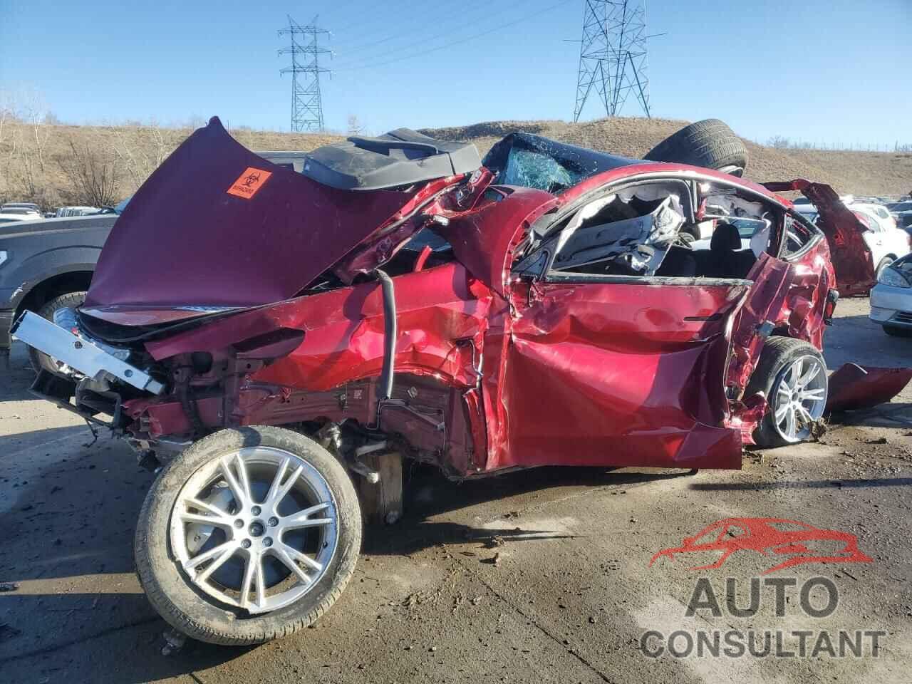 TESLA MODEL Y 2024 - 7SAYGDEE5RA223790