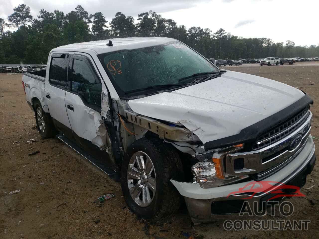 FORD F-150 2019 - 1FTEW1E53KKE57164