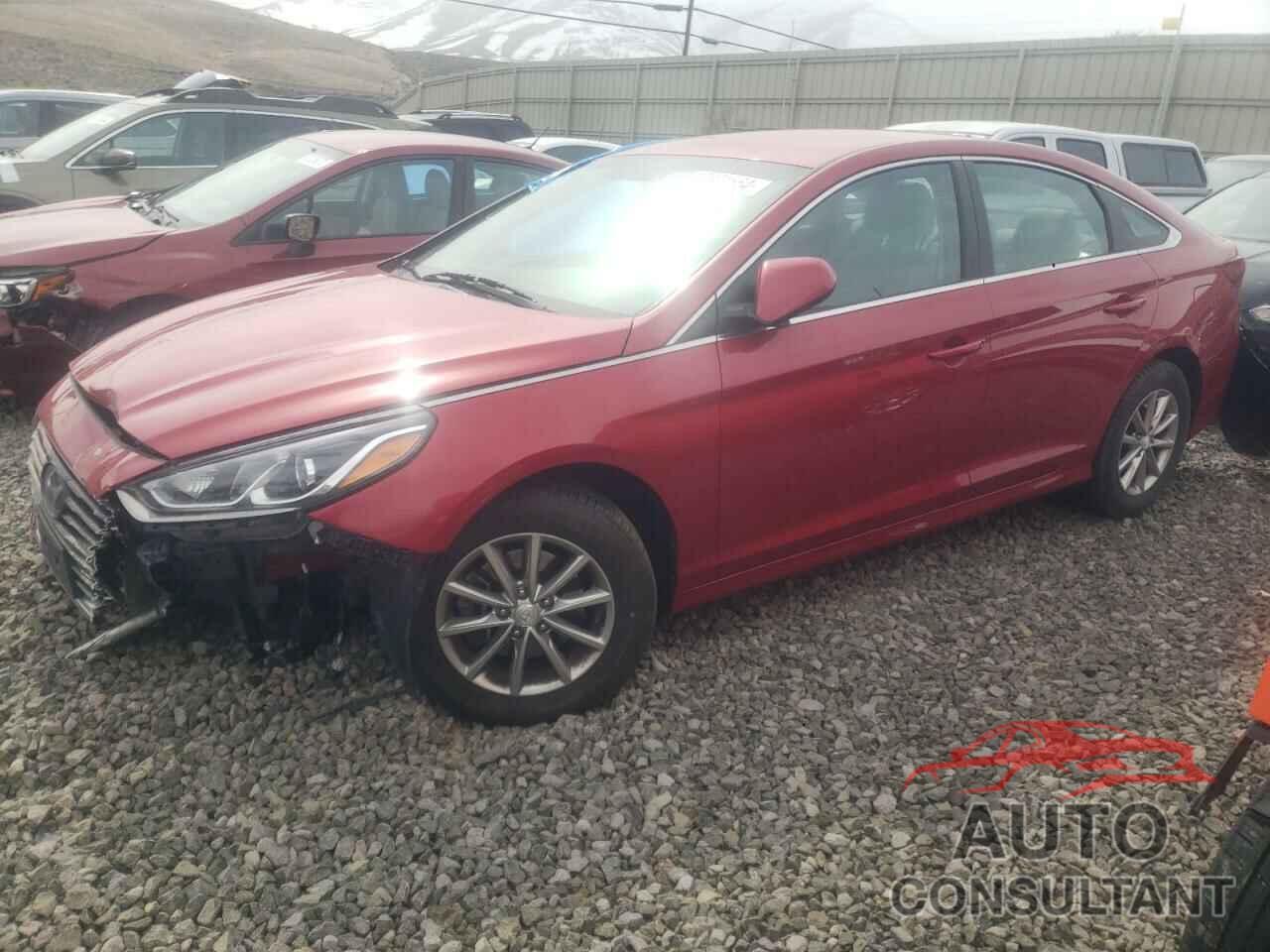 HYUNDAI SONATA 2019 - 5NPE24AFXKH766401