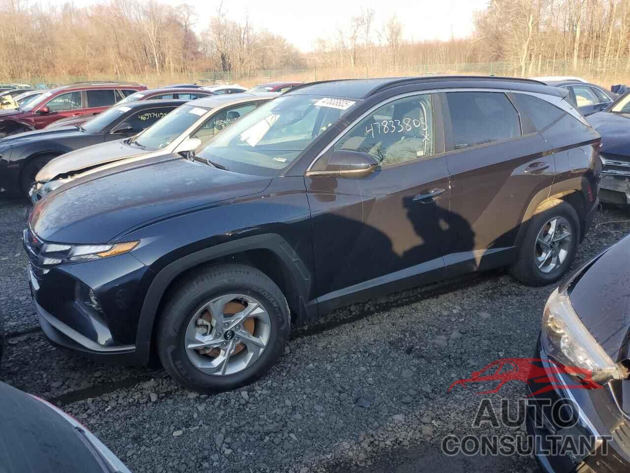 HYUNDAI TUCSON 2024 - KM8JBCDE7RU276764