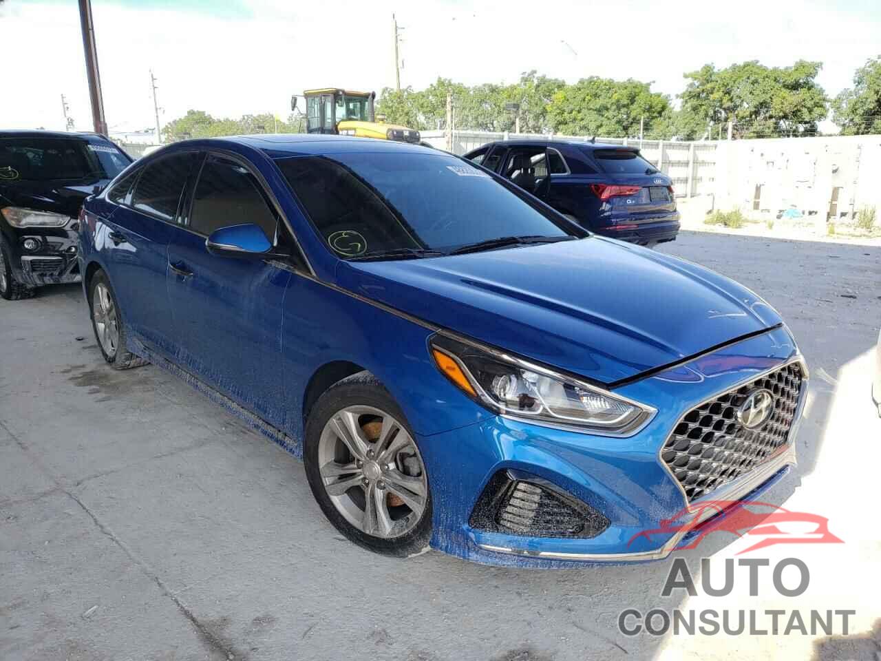 HYUNDAI SONATA 2019 - 5NPE34AF6KH735398