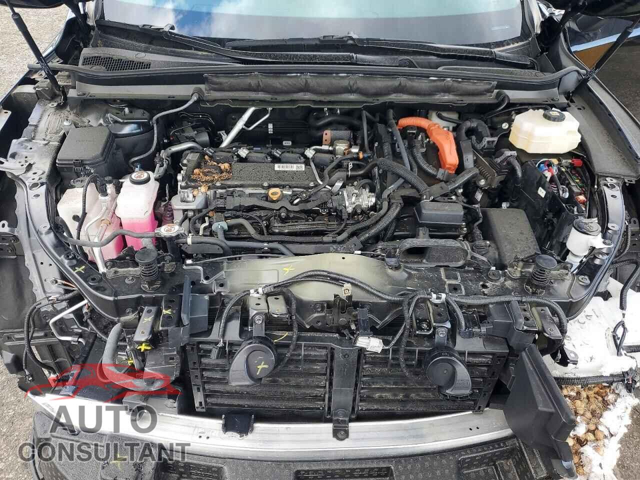 LEXUS UNKNOWN 2024 - 2T2BBMCA4RC027893