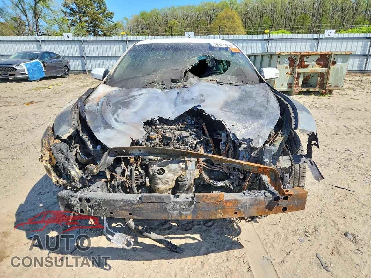 NISSAN MAXIMA 2009 - 1N4AA51E79C856101