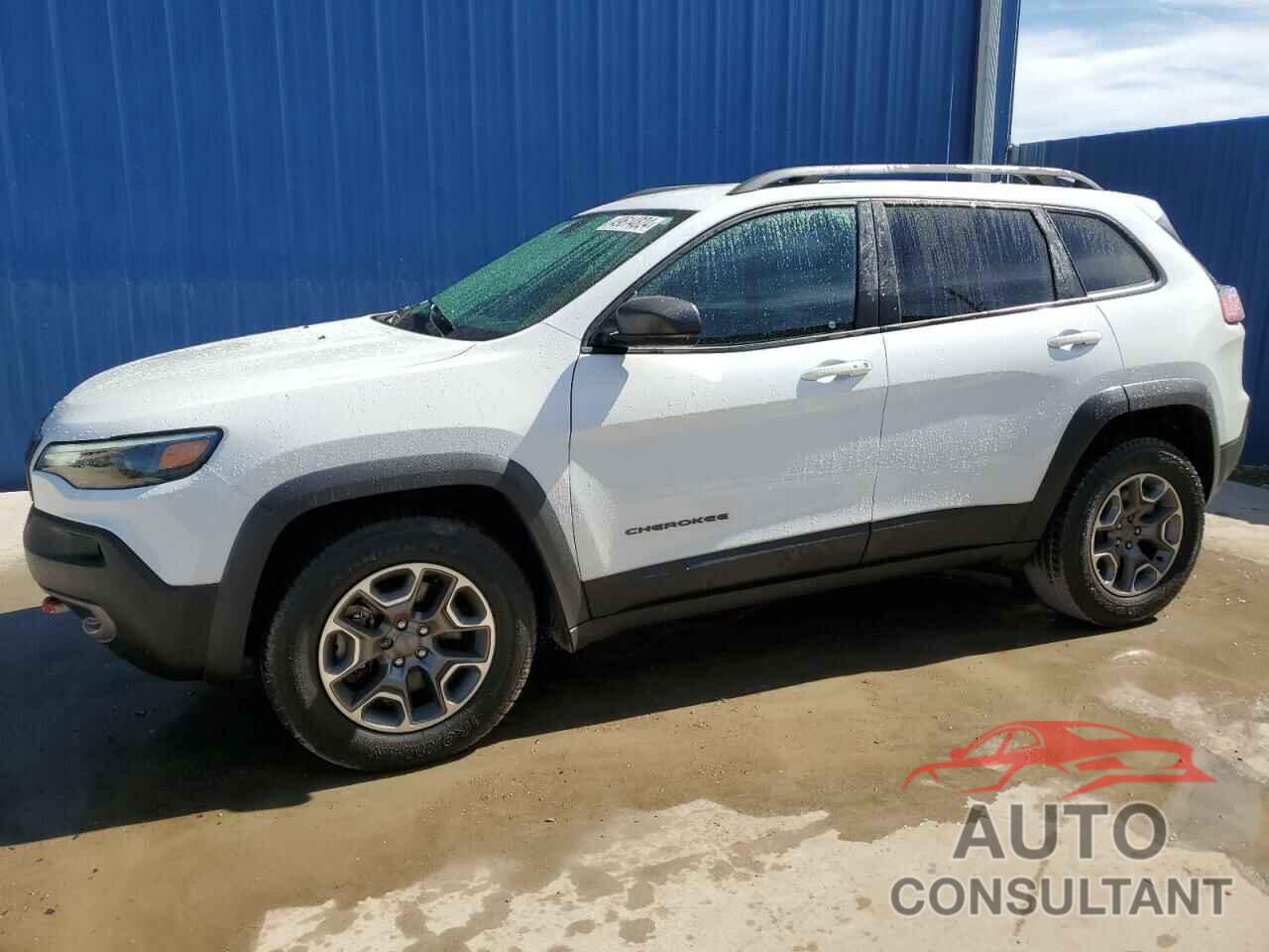 JEEP CHEROKEE 2020 - 1C4PJMBX1LD528818