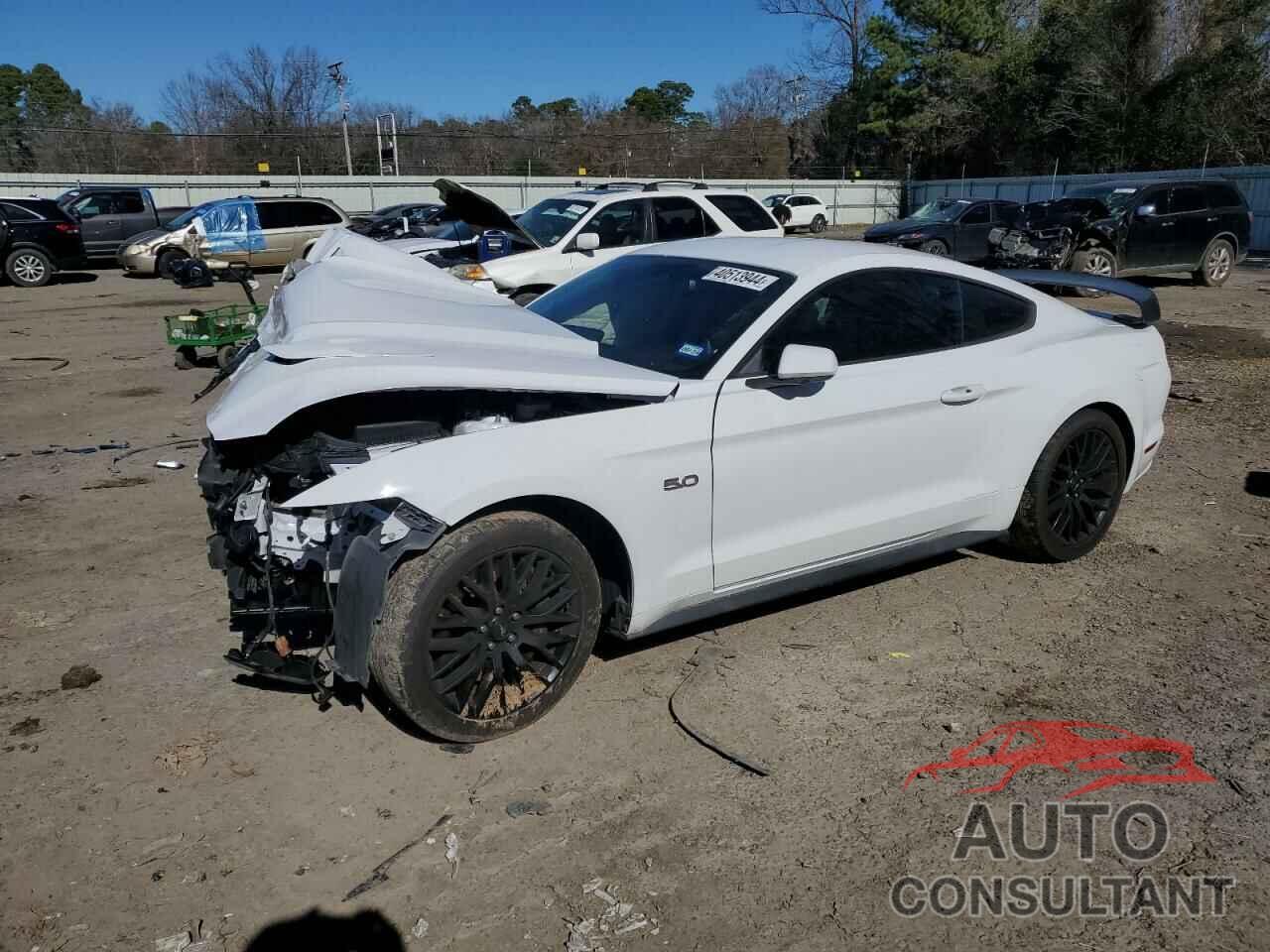 FORD MUSTANG 2017 - 1FA6P8CF8H5343955