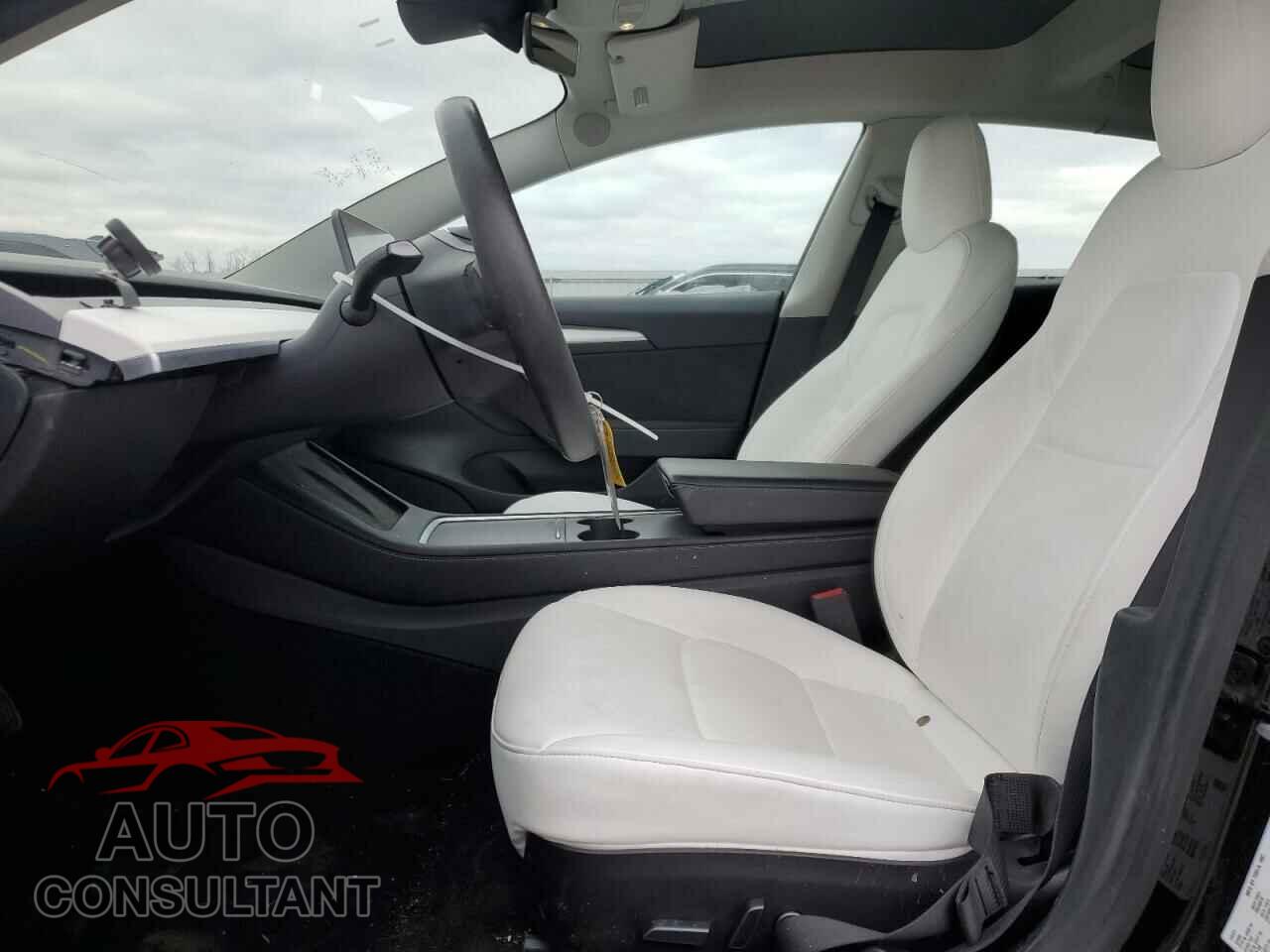 TESLA MODEL 3 2021 - 5YJ3E1EA8MF089555