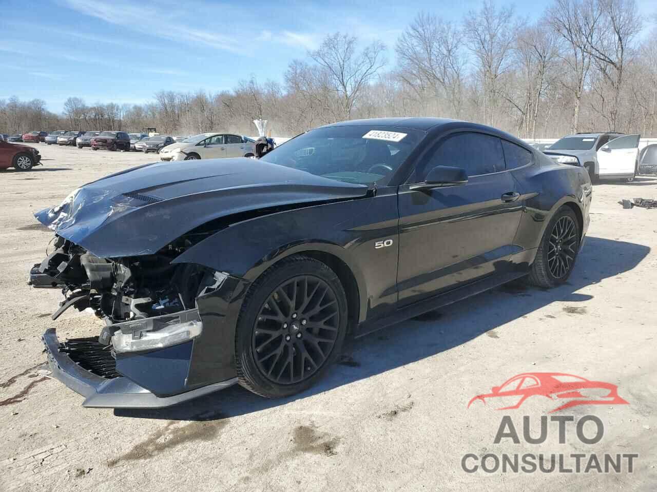 FORD MUSTANG 2019 - 1FA6P8CF2K5120575