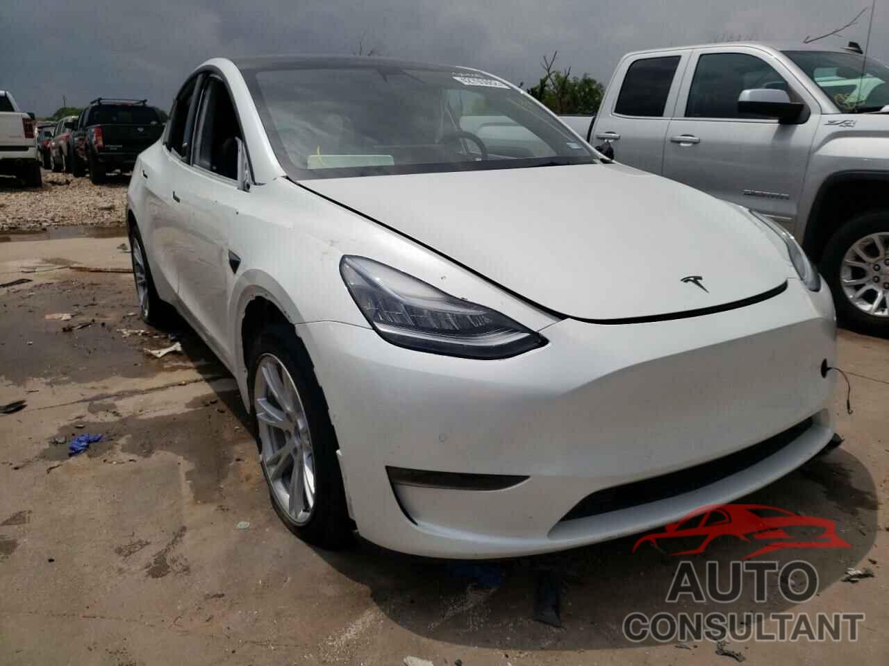 TESLA MODEL Y 2021 - 5YJYGDEE3MF086504