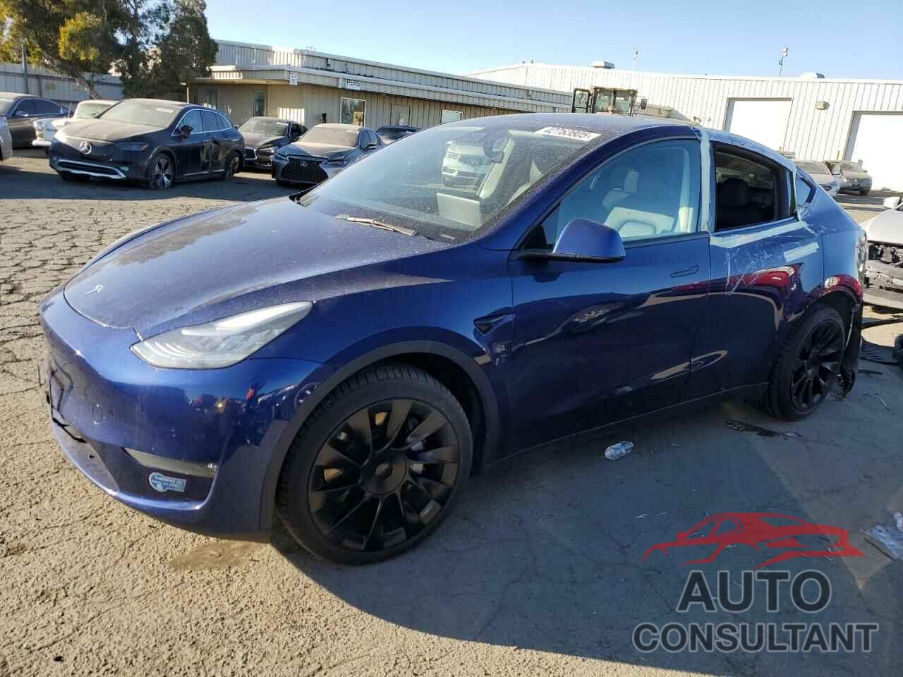 TESLA MODEL Y 2021 - 5YJYGDEE1MF097307