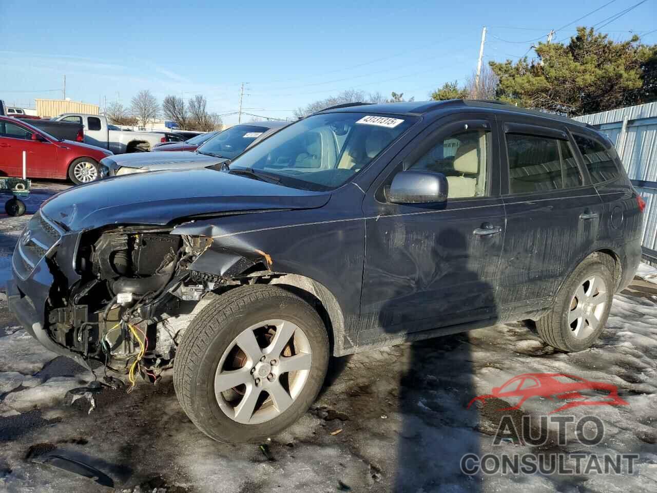 HYUNDAI SANTA FE 2009 - 5NMSH13E19H303669