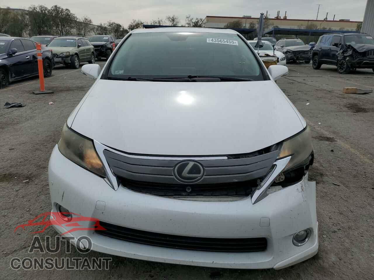 LEXUS HS 2010 - JTHBB1BA0A2024835