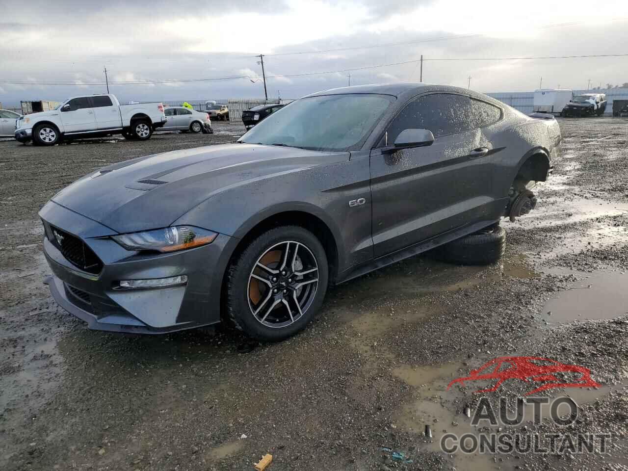 FORD MUSTANG 2019 - 1FA6P8CF1K5135407