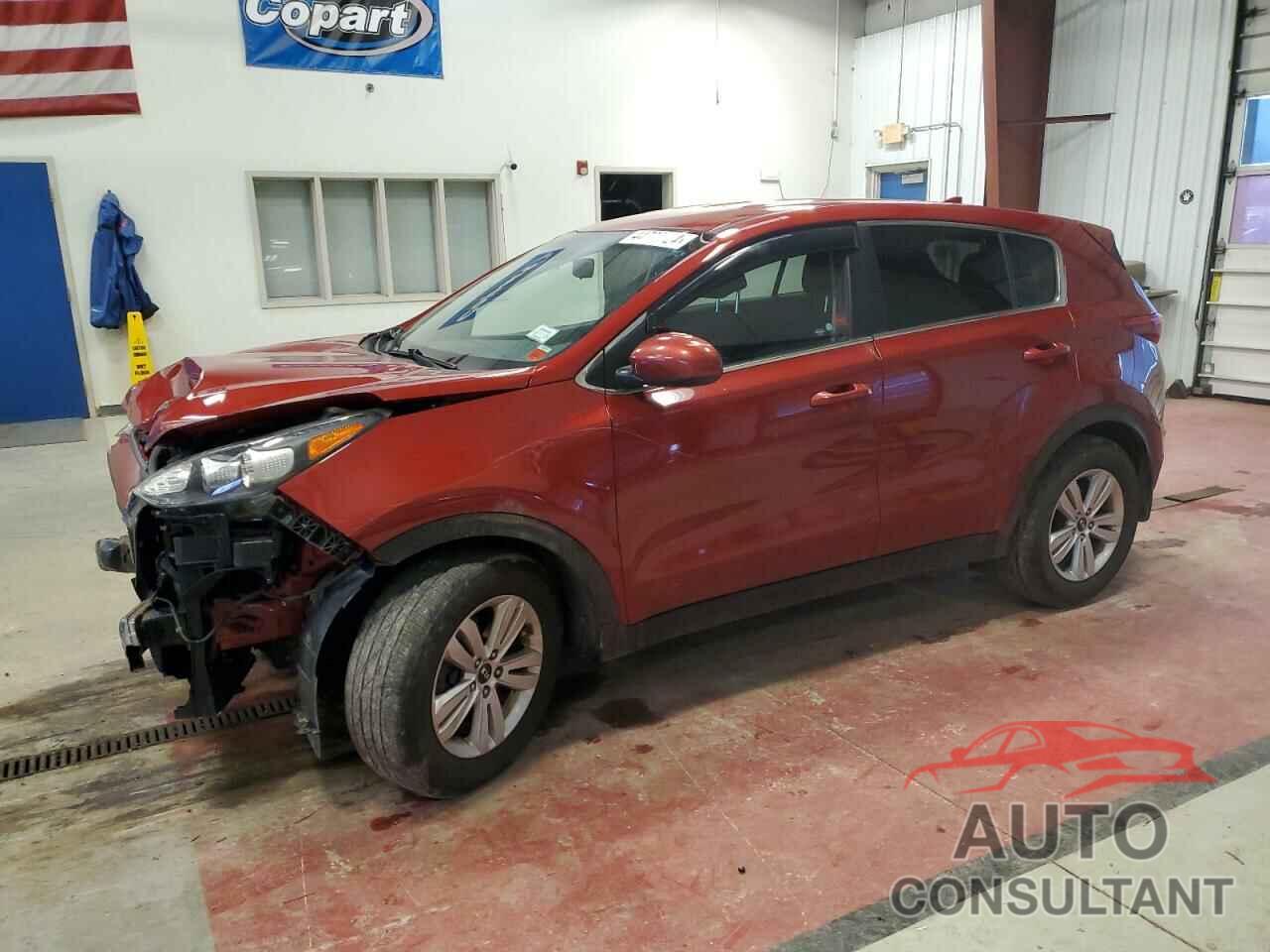 KIA SPORTAGE 2017 - KNDPM3AC3H7220426