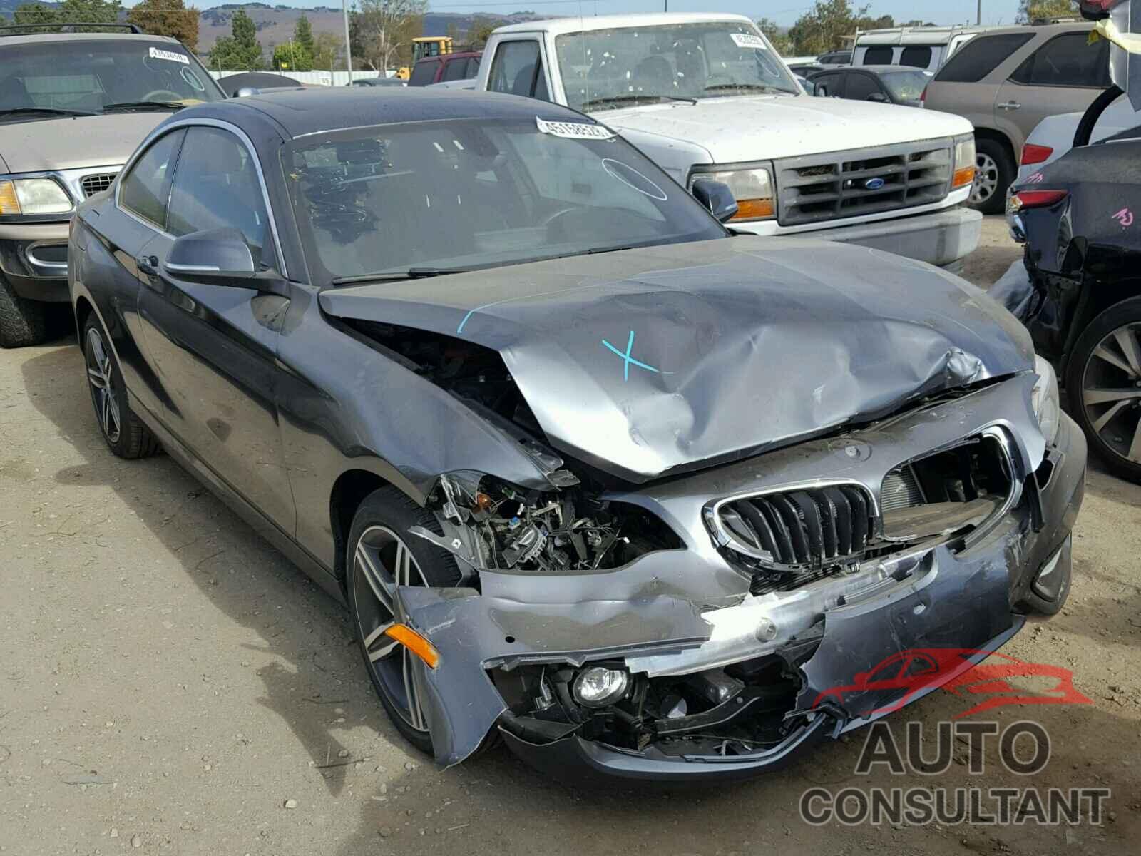 BMW 2 SERIES 2017 - WBA2F9C31H7A40320