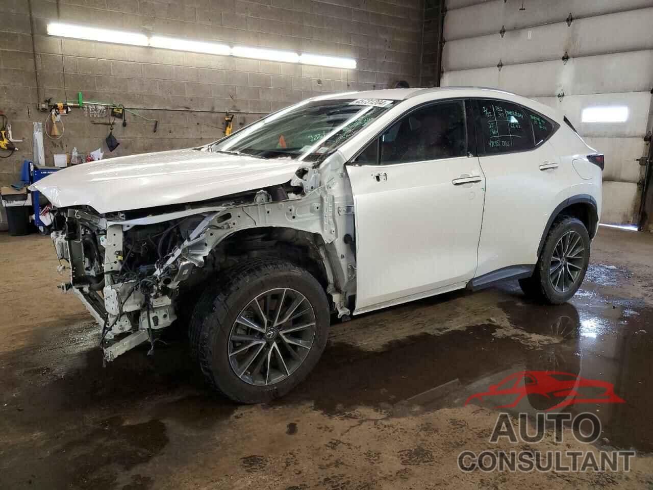 LEXUS NX 250 2022 - 2T2ADCEZ5NC001848