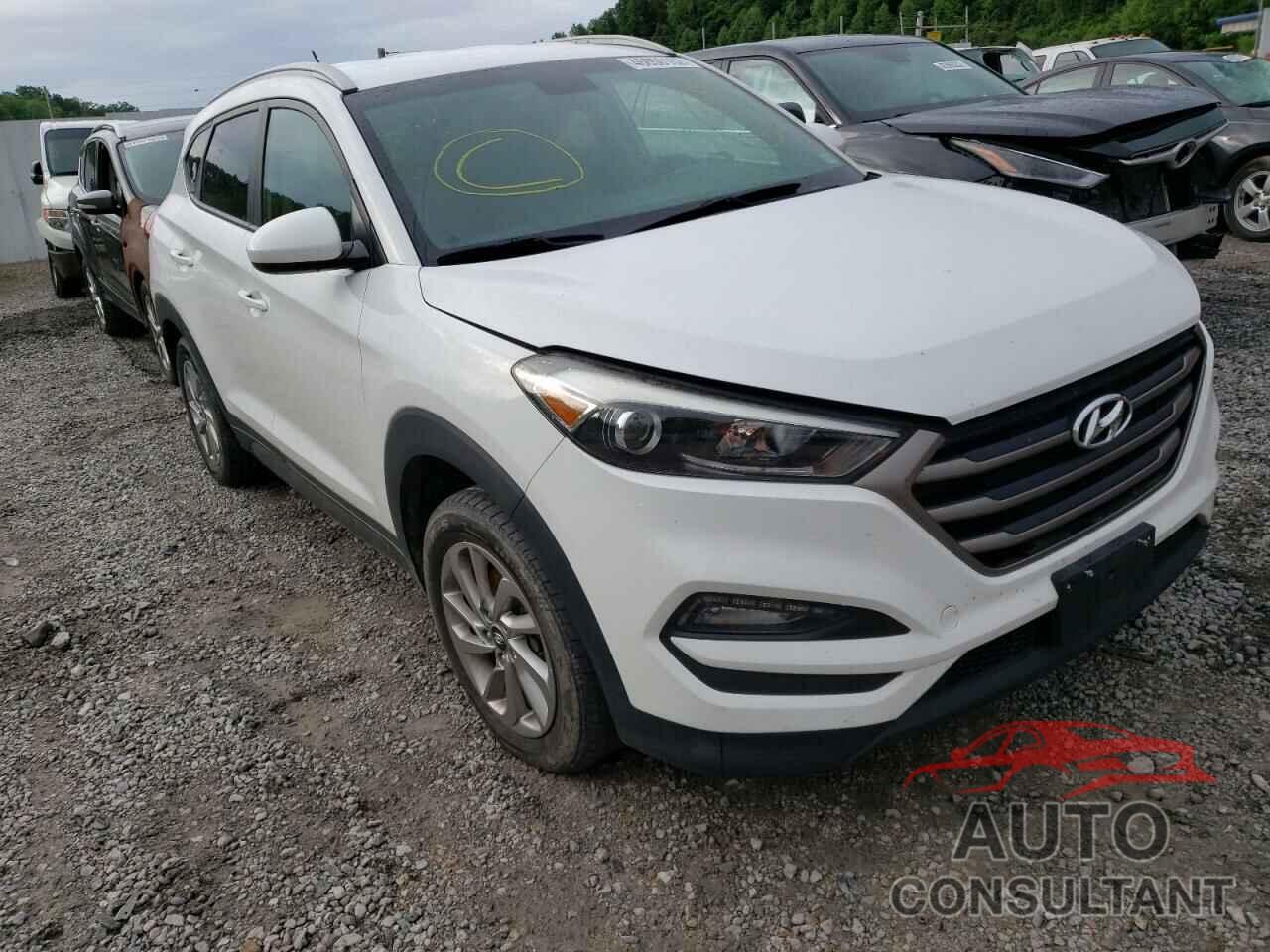 HYUNDAI TUCSON 2016 - KM8J3CA41GU141060