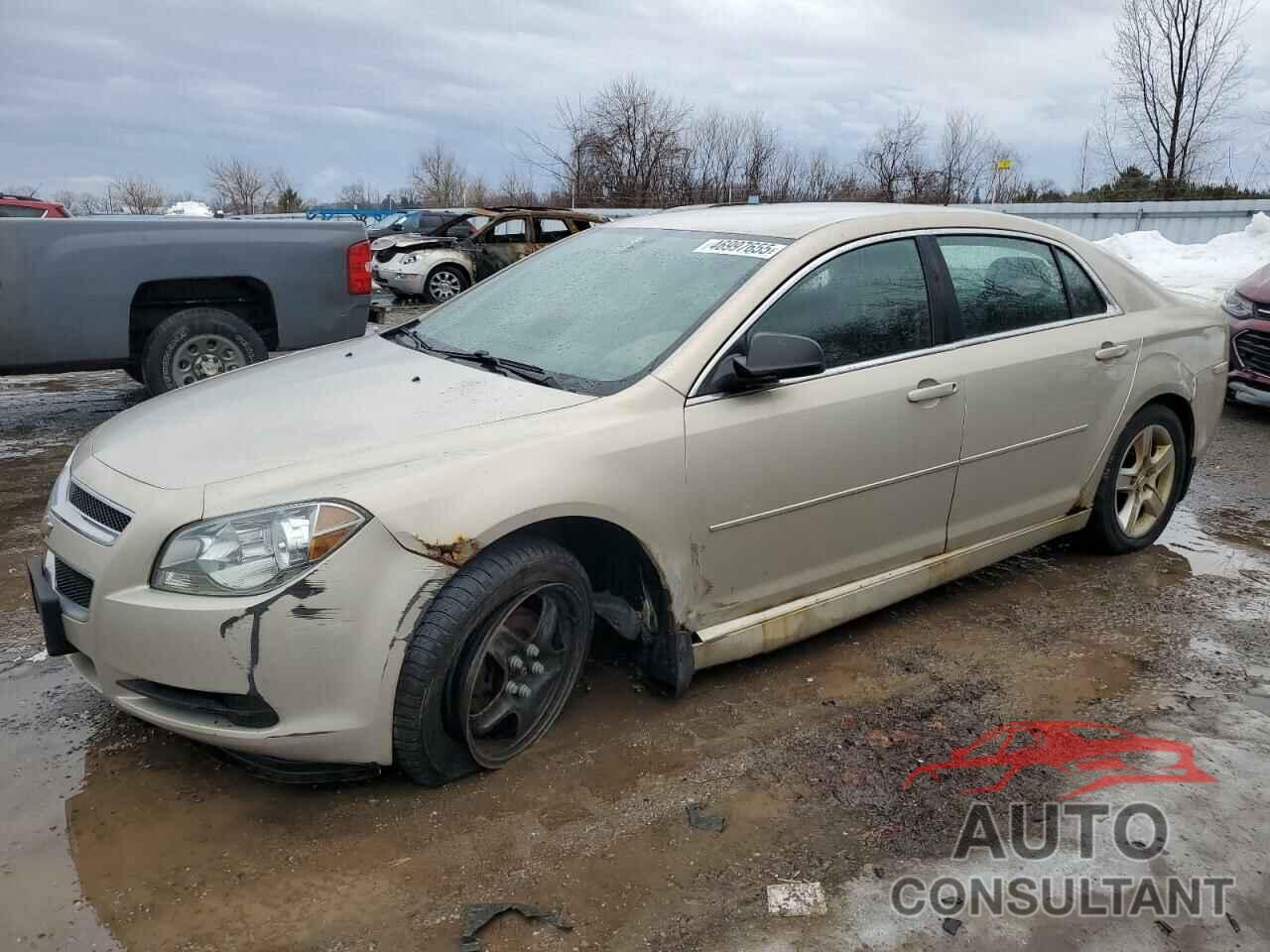 CHEVROLET MALIBU 2010 - 1G1ZB5E01AF106844
