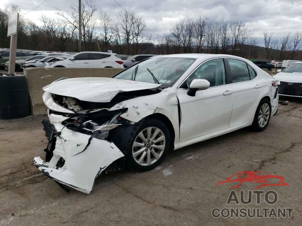 TOYOTA CAMRY 2019 - 4T1B11HK2KU204453
