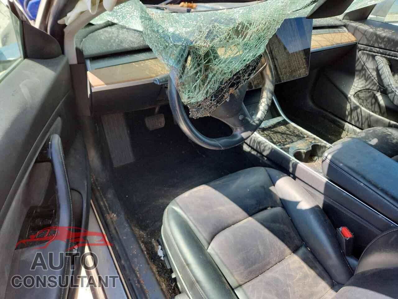 TESLA MODEL 3 2019 - 5YJ3E1EA2KF298691