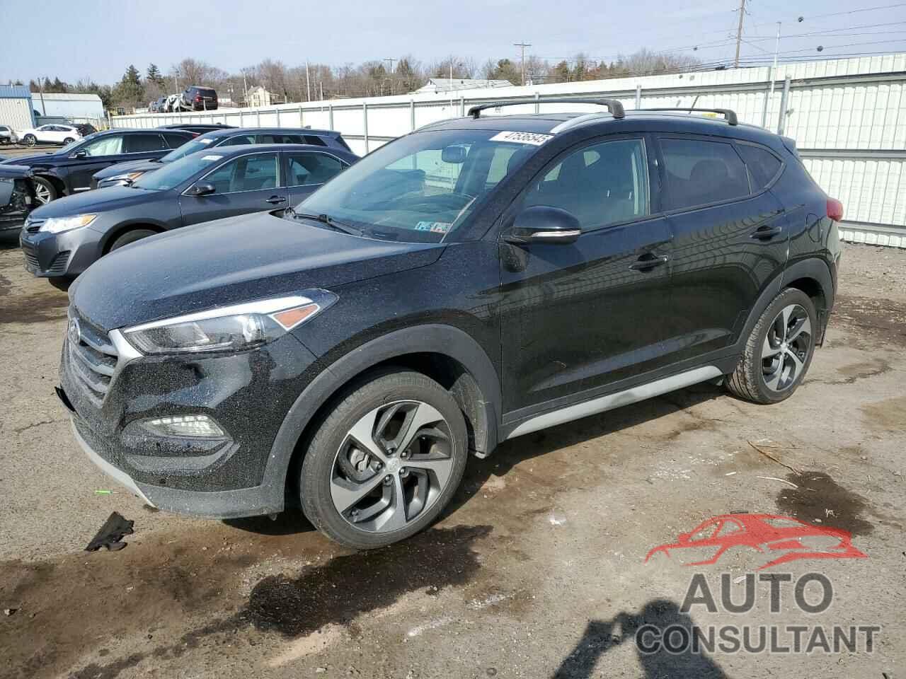 HYUNDAI TUCSON 2017 - KM8J3CA24HU502572