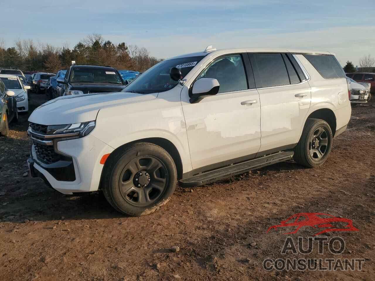 CHEVROLET TAHOE 2023 - 1GNSKLED4PR435830