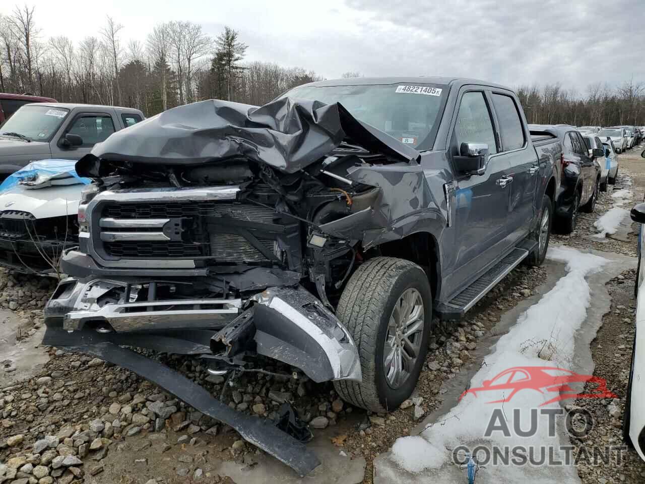 FORD F150 LARIA 2024 - 1FTFW5L80RFA99632