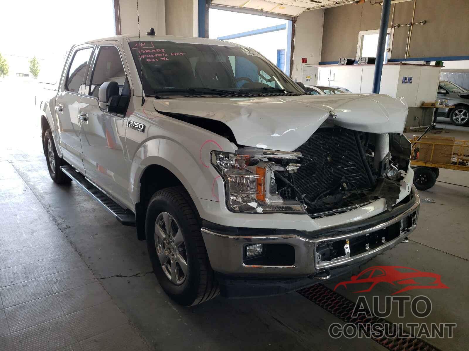 FORD F-150 2019 - 1FTEW1EP7KKE39641