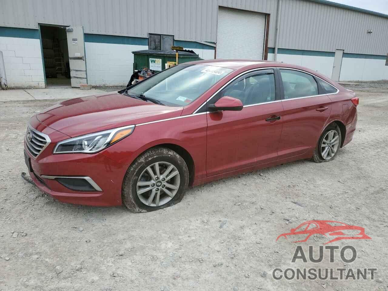 HYUNDAI SONATA 2016 - 5NPE24AF1GH294080