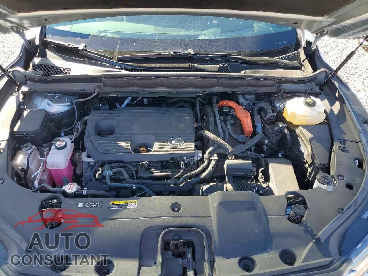 LEXUS UNKNOWN 2024 - 2T2BBMCA6RC044355