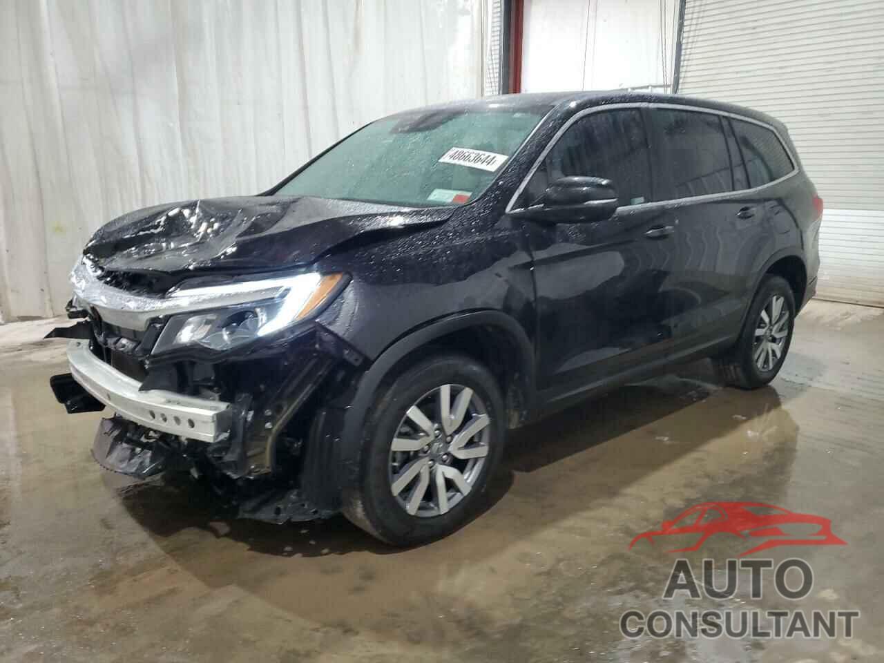 HONDA PILOT 2019 - 5FNYF6H53KB095128