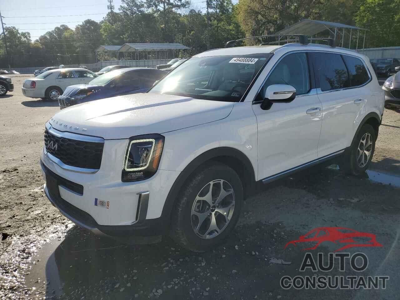 KIA TELLURIDE 2022 - 5XYP3DHCXNG211249