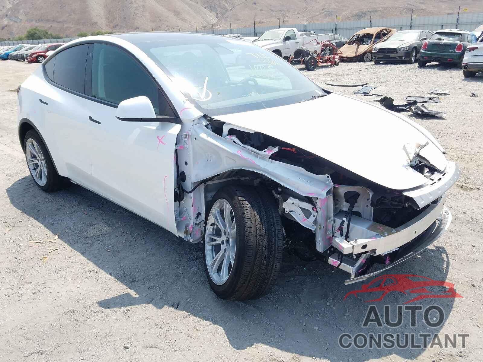 TESLA MODEL Y 2021 - 5YJYGDEE3MF148774