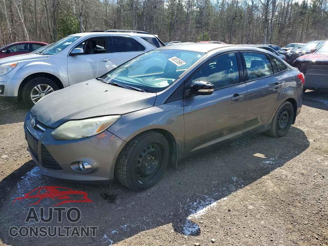FORD FOCUS 2012 - 1FAHP3F21CL181594