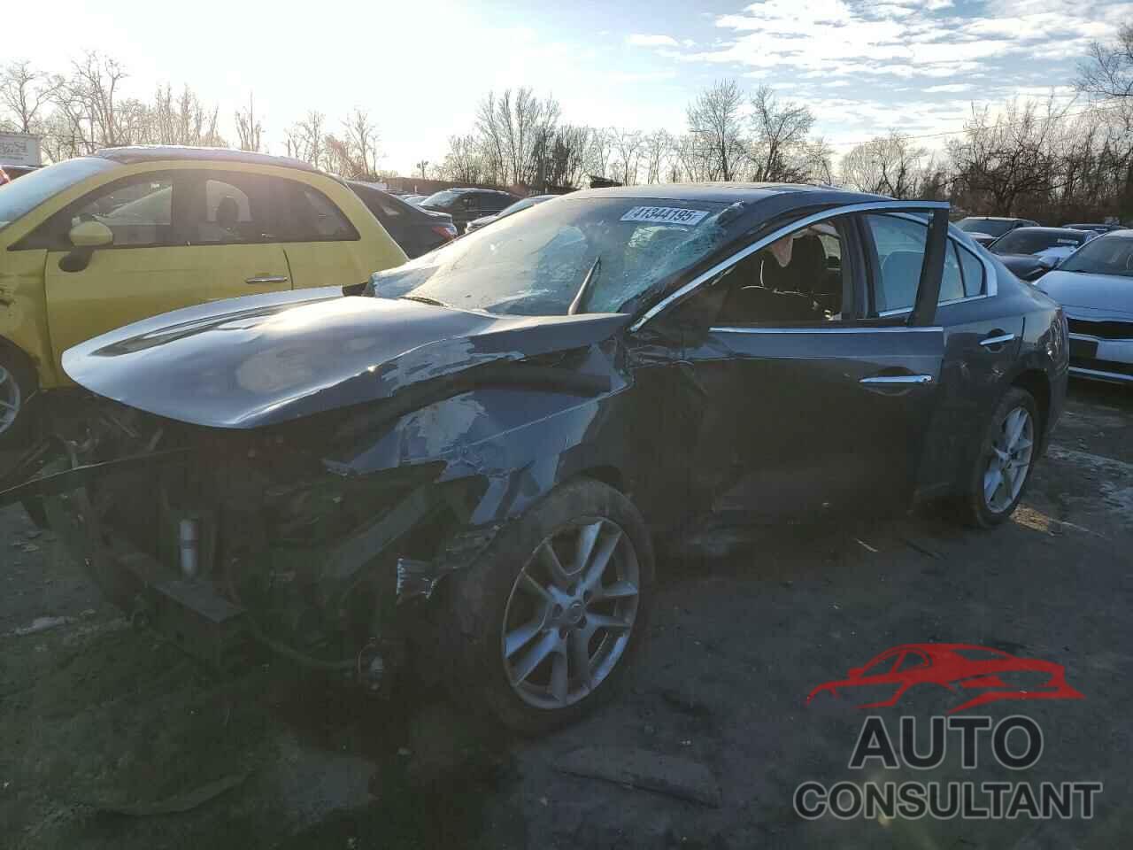 NISSAN MAXIMA 2009 - 1N4AA51E29C847158