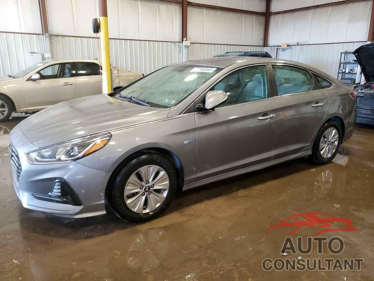 HYUNDAI SONATA 2019 - KMHE24L31KA084481