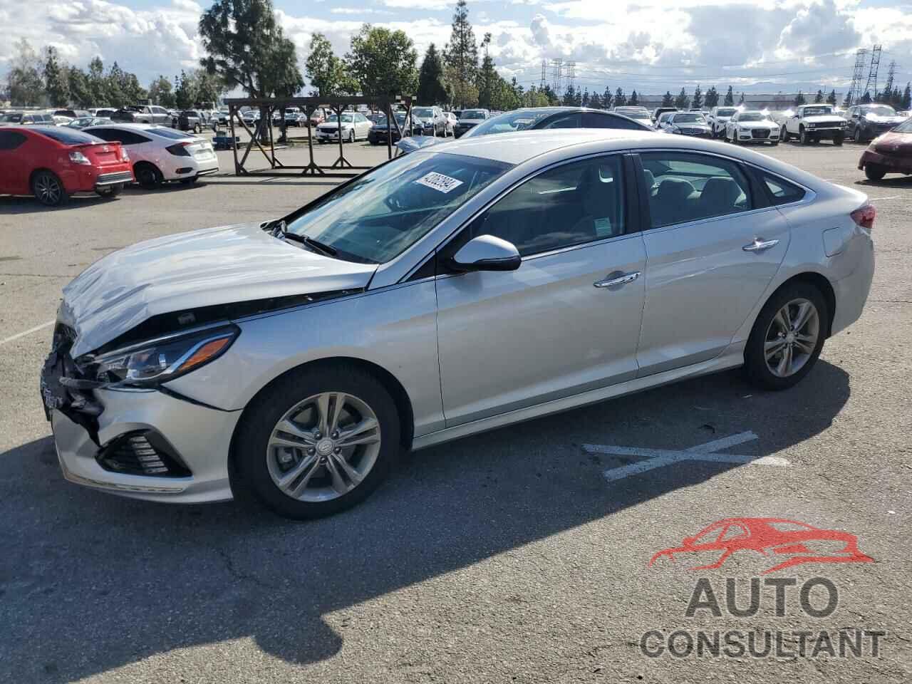 HYUNDAI SONATA 2019 - 5NPE34AF0KH768543