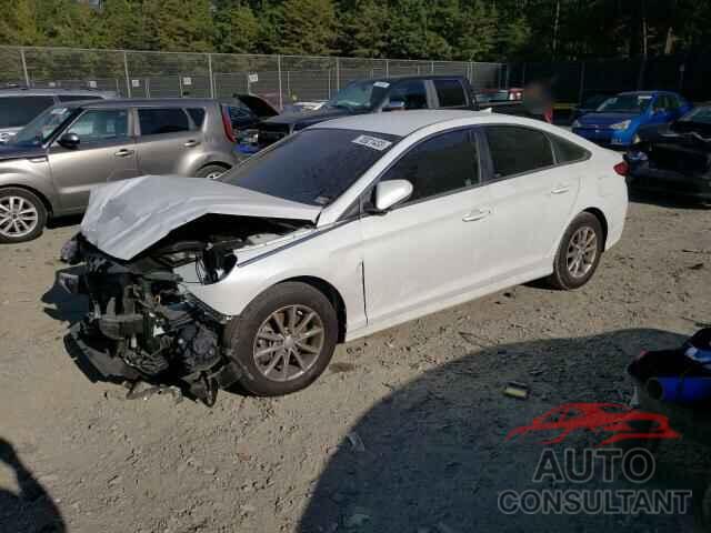 HYUNDAI SONATA 2019 - 5NPE24AF6KH796866