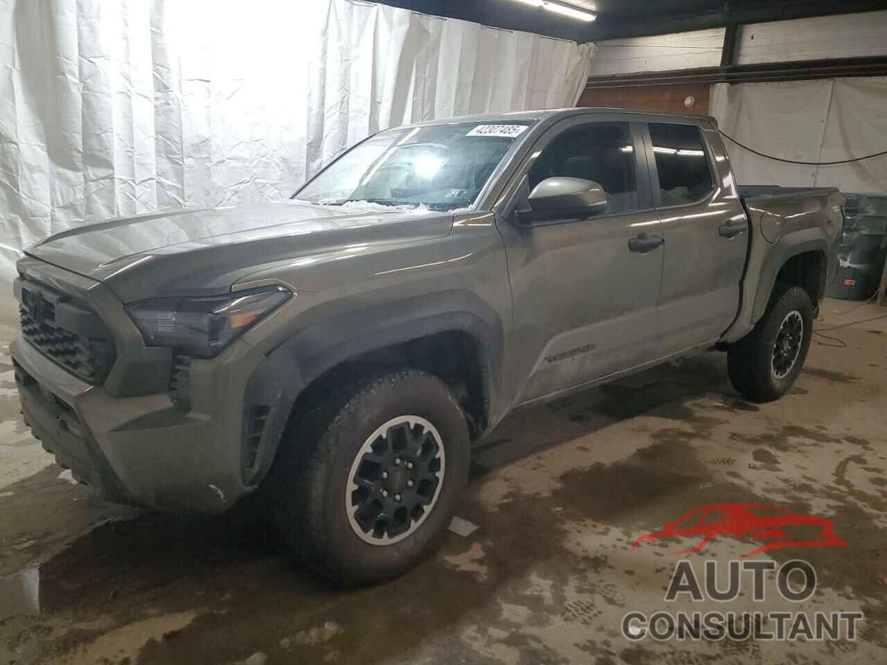 TOYOTA TACOMA 2024 - 3TMLB5JN4RM084381